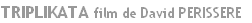 wp5b2d66e1.png